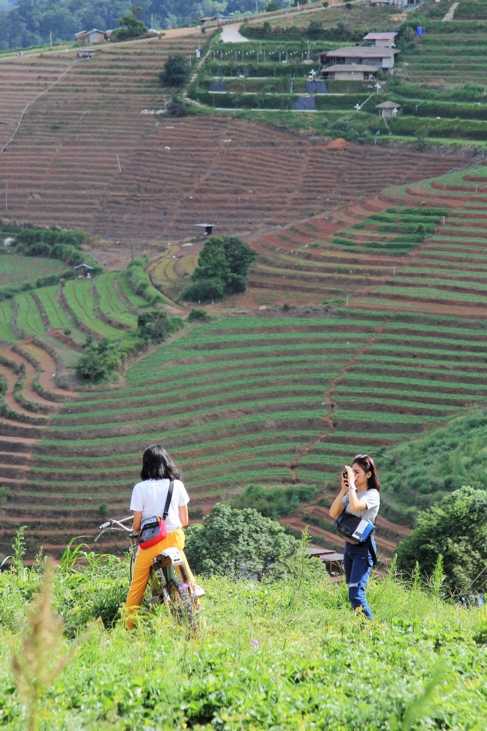 %EB%AA%AC%EC%A8%88_%282%29.jpg?type=w1200