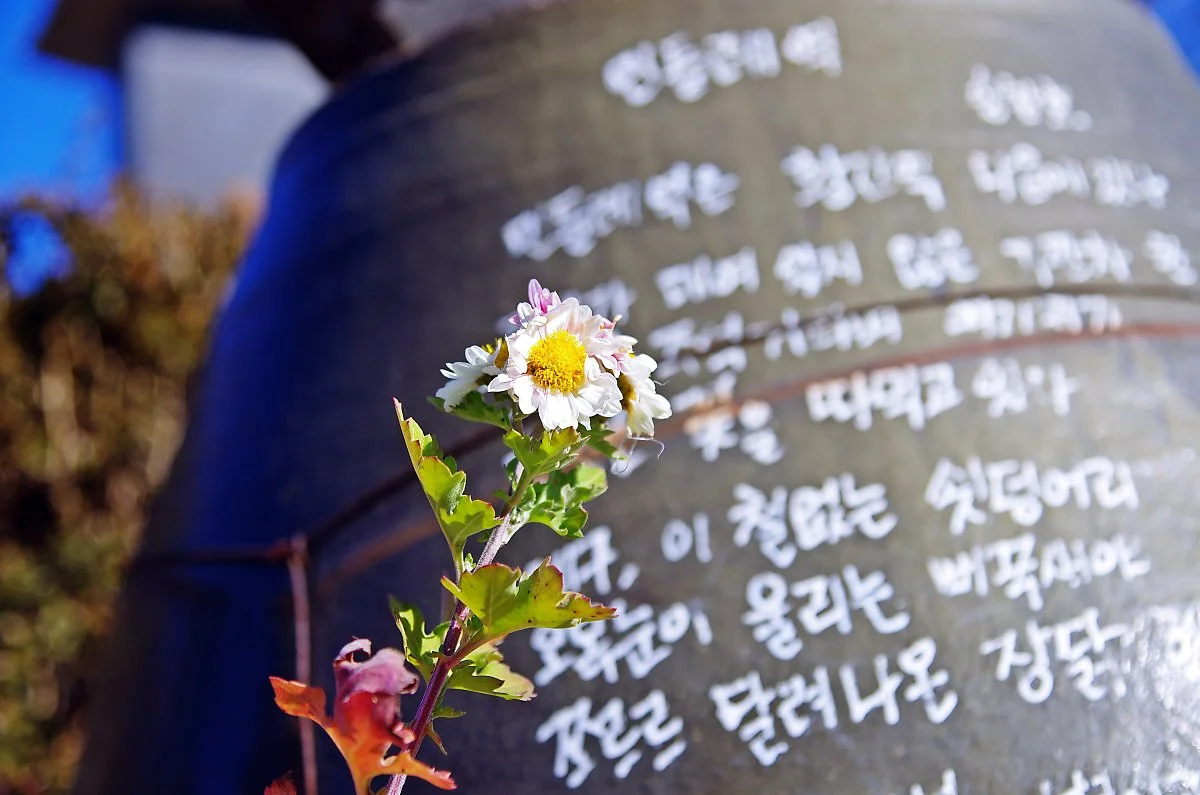 %ED%99%A9%EA%B0%84%EC%97%AD_%EC%95%9E%EB%A7%88%EB%8B%B9_%EC%8B%9C%EA%B0%80_%EC%A0%81%ED%9E%8C_%ED%95%AD%EC%95%84%EB%A6%AC_%EC%A4%91_%ED%95%98%EB%82%98._%EC%86%A1%EC%B0%AC%ED%98%B8_%EC%8B%9C%EC%9D%B8%EC%9D%98_%EC%8B%9C_%27%EB%AF%BC%EB%93%A4%EB%A0%88.JPG?type=w1200