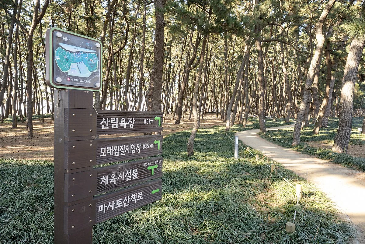 %EC%9E%A5%ED%95%AD%EC%8A%A4%EC%B9%B4%EC%9D%B4%EC%9B%8C%ED%81%AC_%285%29.jpg?type=w1200