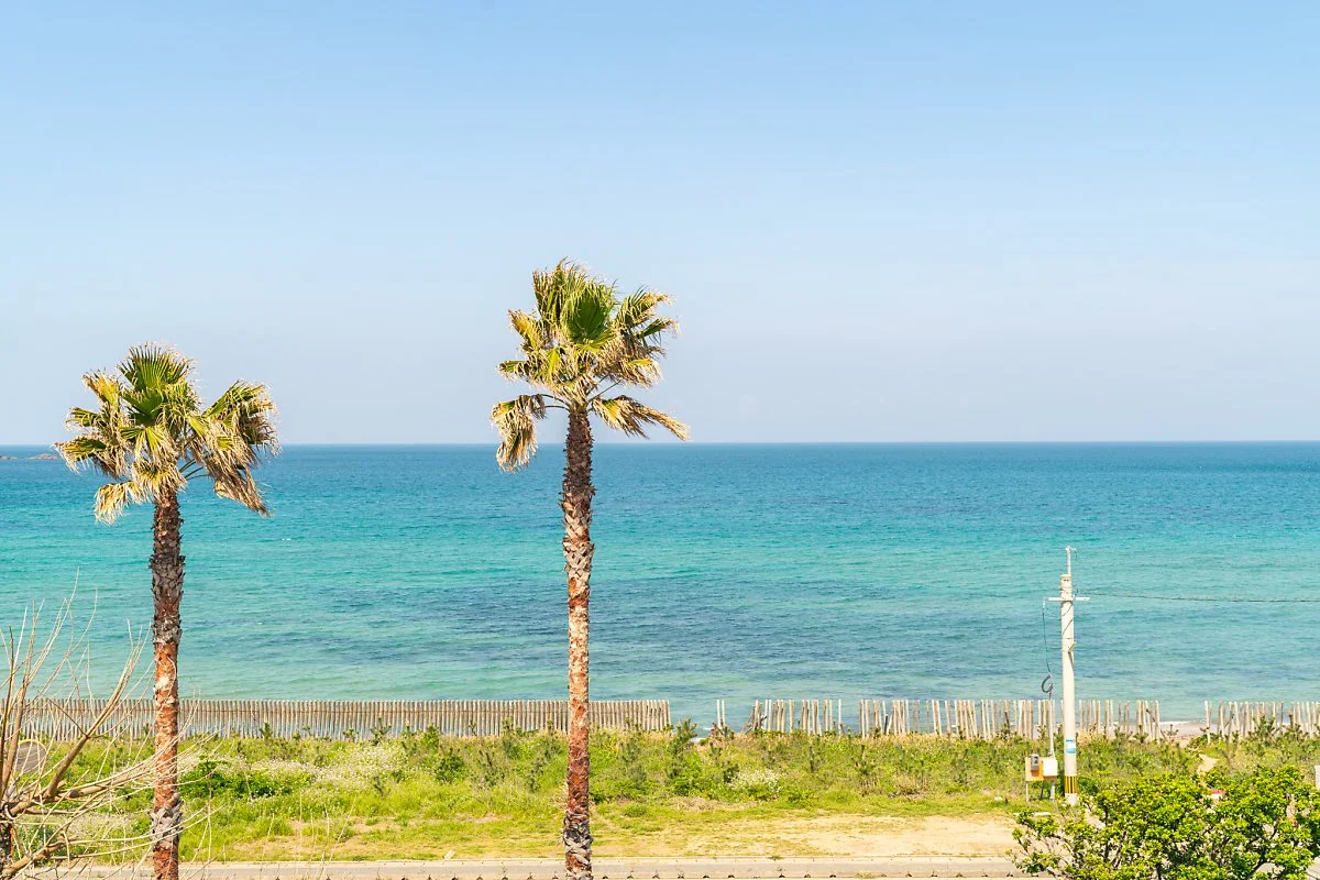 %EC%BB%A4%EB%9F%B0%ED%8A%B8_00002.jpg?type=w1200