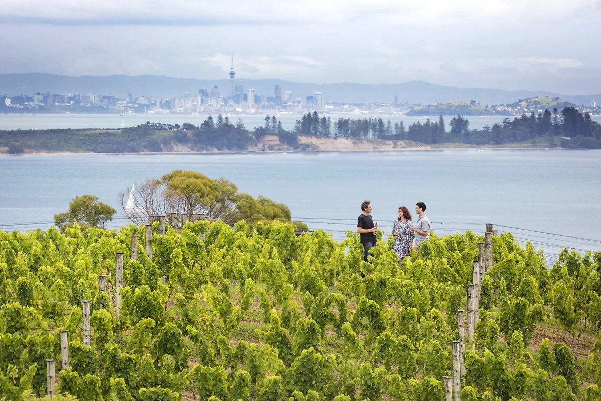 o_Auckland-Waiheke-Island-Vineyards-and-City-Views-_%E2%93%92_Miles-Holden.jpg?type=w1200
