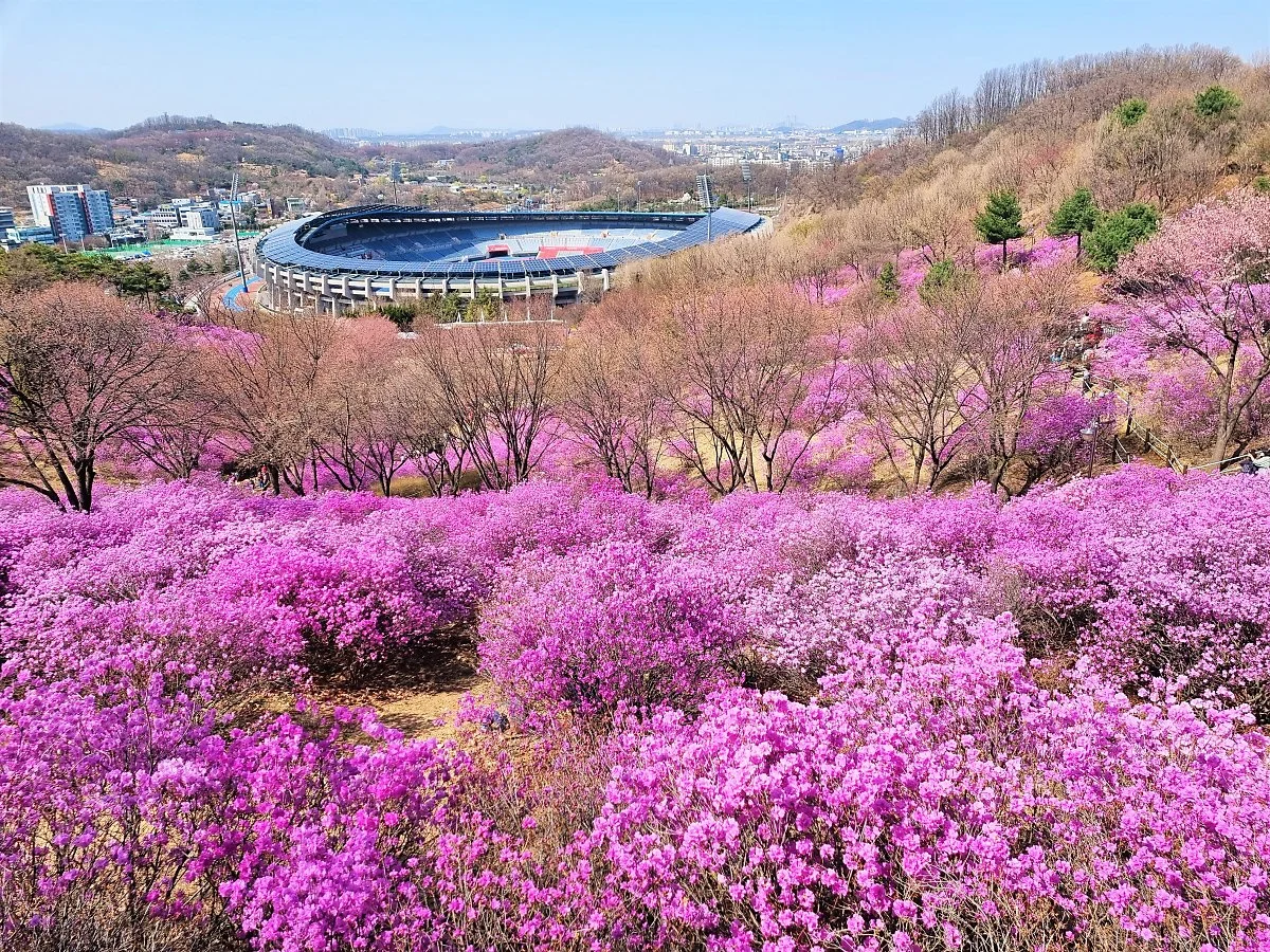 01%EC%9B%90%EB%AF%B8%EC%82%B0_%281%29.jpg?type=w1200