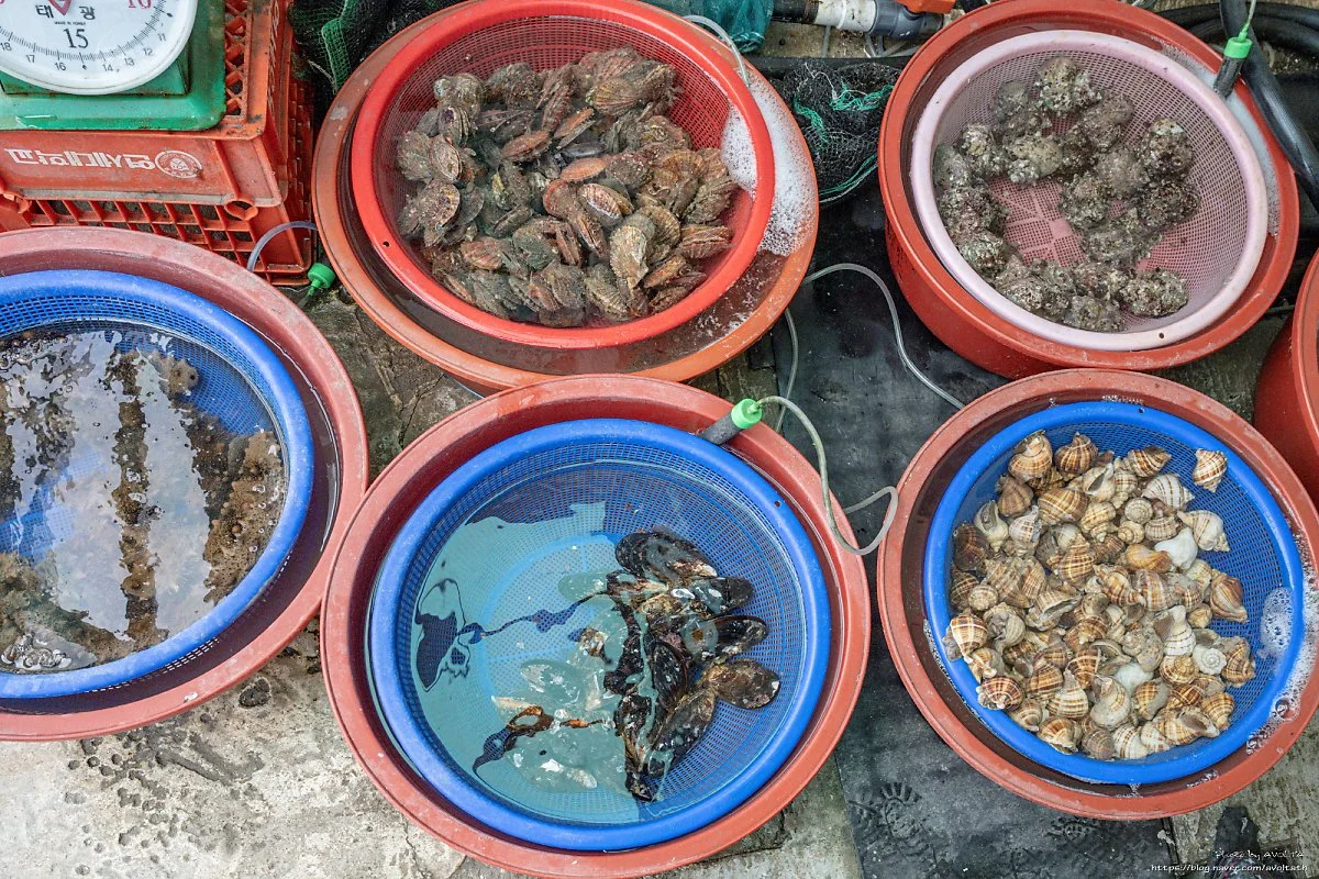 %EB%85%B8%ED%99%94%EC%A0%84%ED%86%B5%EC%8B%9C%EC%9E%A5_%282%29.jpg?type=w1200