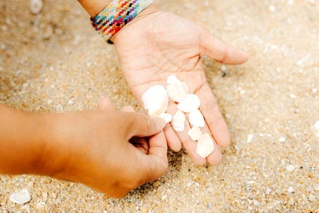 %EB%B3%B4%EC%A0%95%EB%B3%B8-6.jpg?type=w466