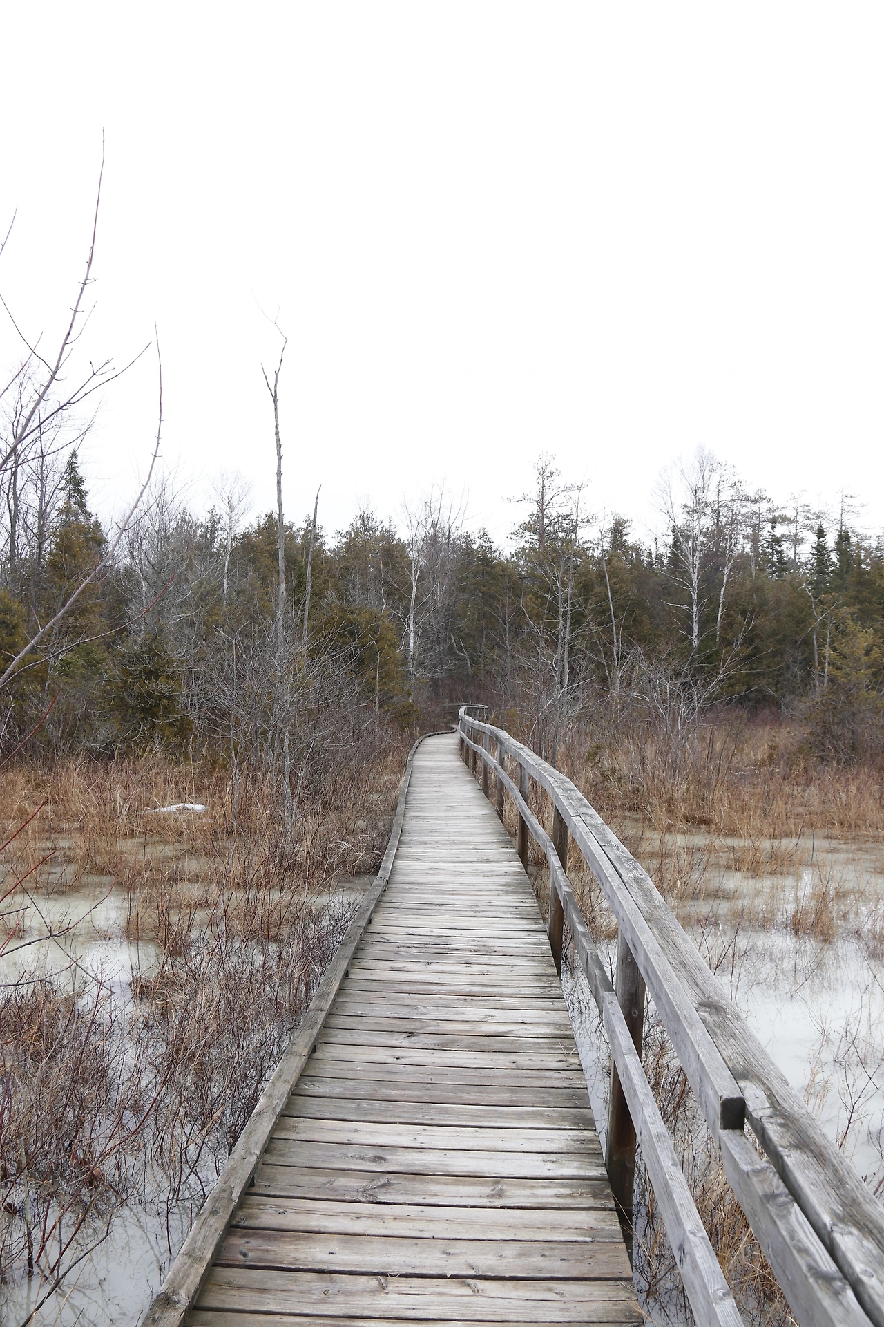 14.Huron Fringe Trail-1.JPG