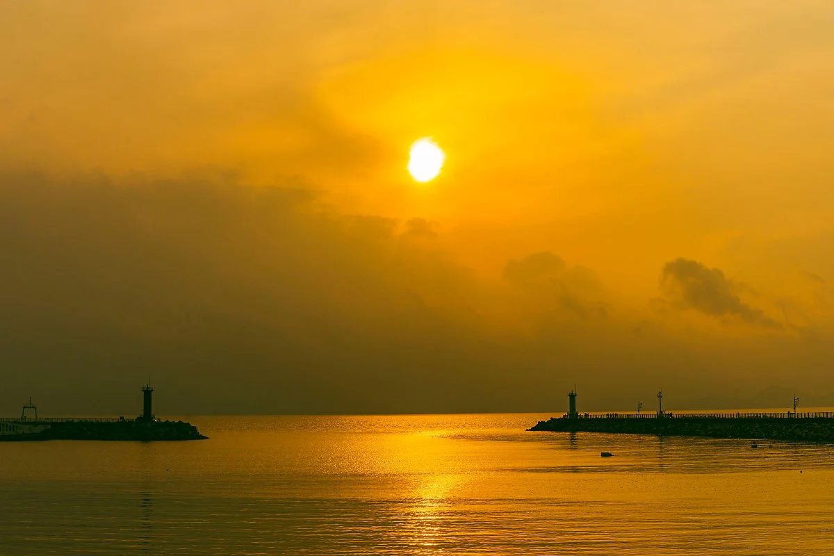 d_%EA%B2%A9%ED%8F%AC%EB%B0%A9%ED%8C%8C%EC%A0%9C.jpg?type=w1200