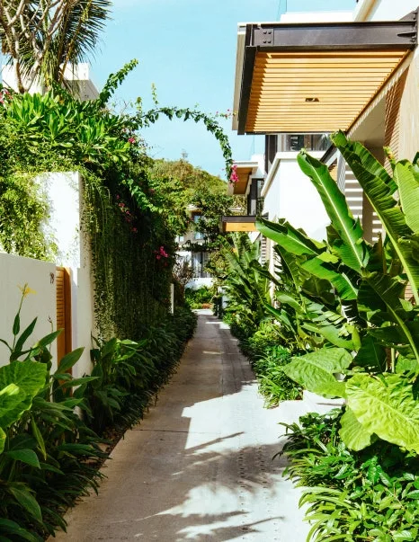 %EB%A9%9C%EB%A6%AC%EC%95%84-7.jpg?type=w466