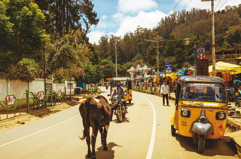 image.png?type=w1200