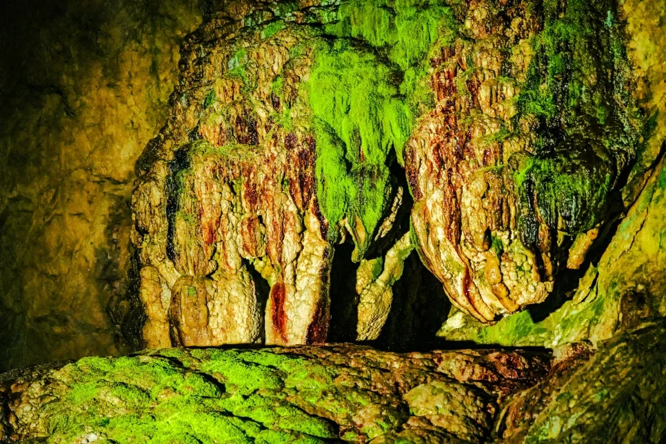 %EC%82%BC%EC%B2%99_%ED%99%98%EC%84%A0%EA%B5%B4_(7).jpg?type=w966