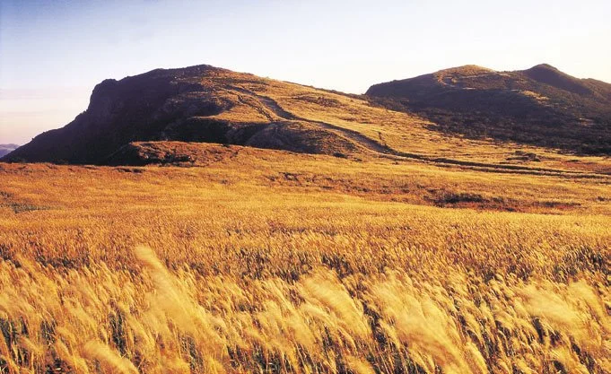 %EB%AC%B4%EB%B9%843.jpg?type=w1200