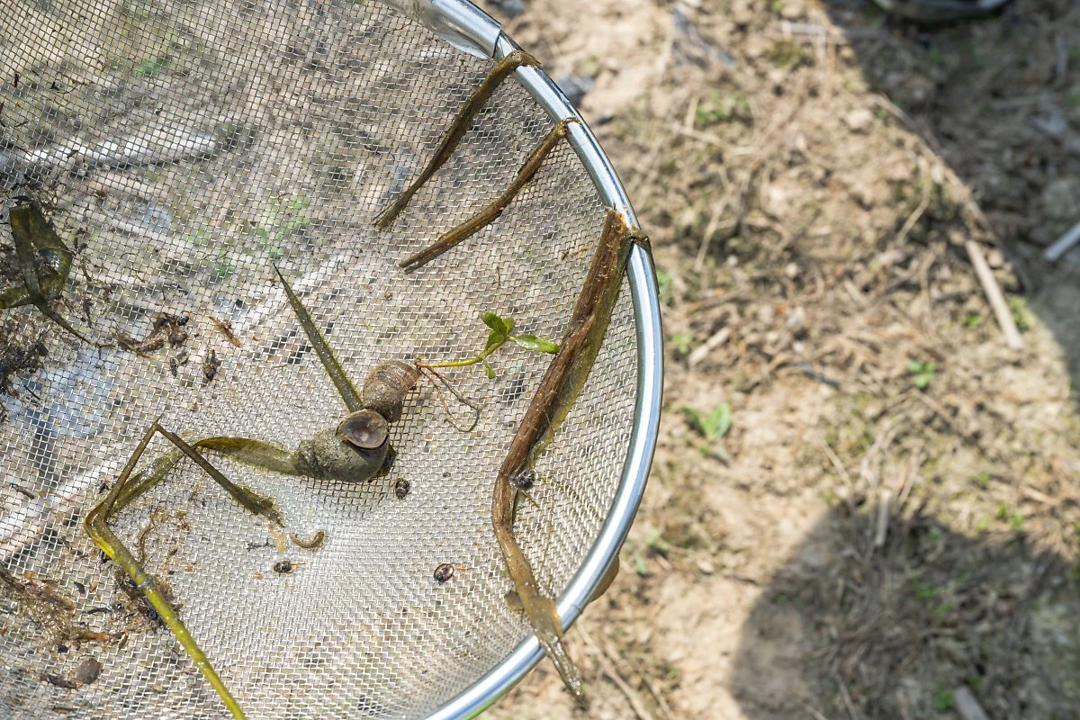 %EB%91%A0%EB%B2%99%ED%83%90%EC%82%AC_%284%29.jpg?type=w1200