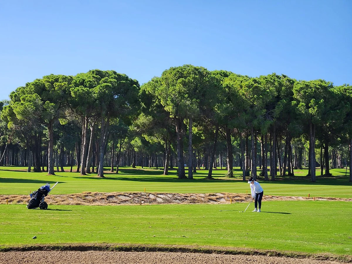 %EA%B8%80%EB%A1%9C%EB%A6%AC%EC%95%84GC_%2817%29.jpg?type=w1200