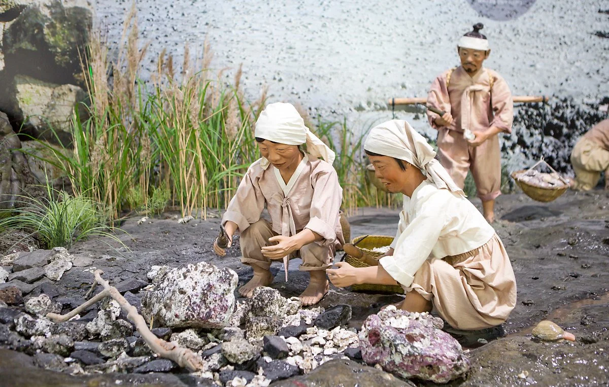 %EC%A0%9C%EC%A3%BC%ED%95%B4%EC%96%91%EB%8F%99%EB%AC%BC%EB%B0%95%EB%AC%BC%EA%B4%80_%2812%29.JPG?type=w1200