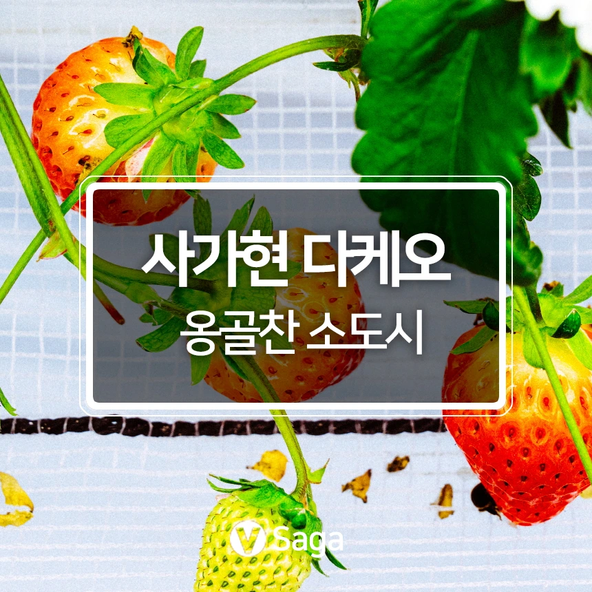 %EC%82%AC%EA%B0%80%ED%98%84%EB%8B%A4%EC%BC%80%EC%98%A4.jpg?type=w966