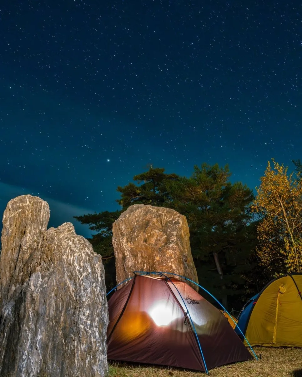 dss_pic__%ED%94%BC%EB%93%9C_(9).jpg?type=w966