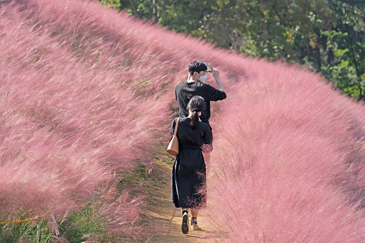 %EC%82%AC%EC%A7%849_%ED%95%91%ED%81%AC%EB%AE%AC%EB%A6%AC%EB%A1%9C%EB%93%9C.jpg?type=w1200