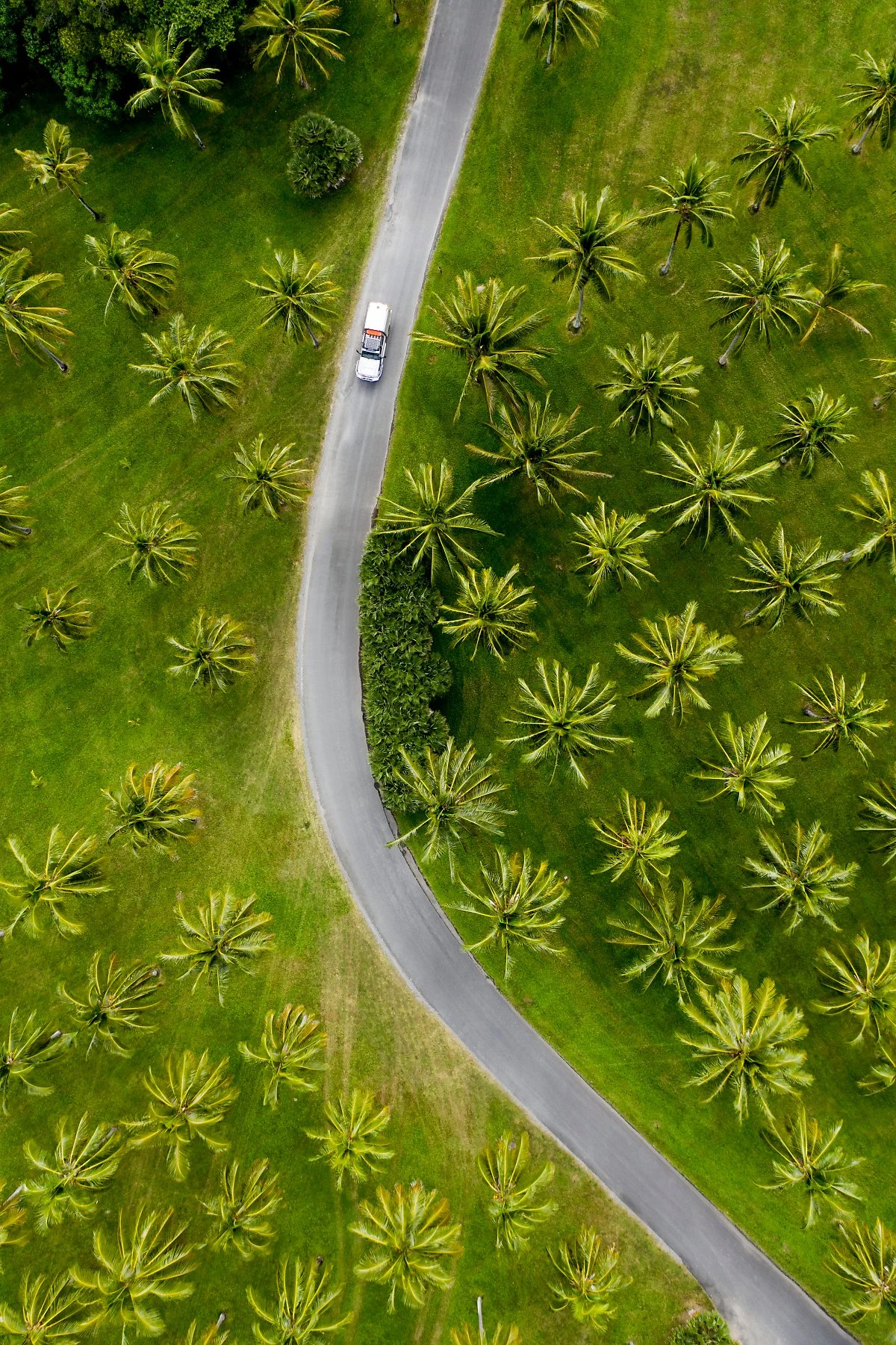 141390-19.jpg?type=w1200