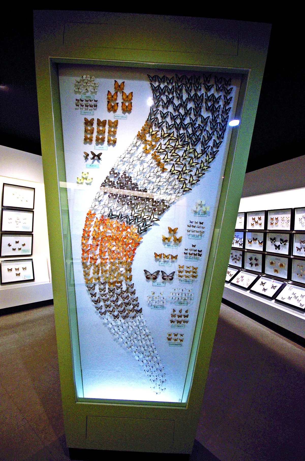 %EC%B2%AD%EC%A3%BC%EB%9E%9C%EB%93%9C_%EA%B3%B5%EB%A3%A1%EC%A0%84%EC%8B%9C%EA%B4%80_%EB%82%98%EB%B9%84%EC%A0%84%EC%8B%9C%EC%8B%A4.JPG?type=w1200