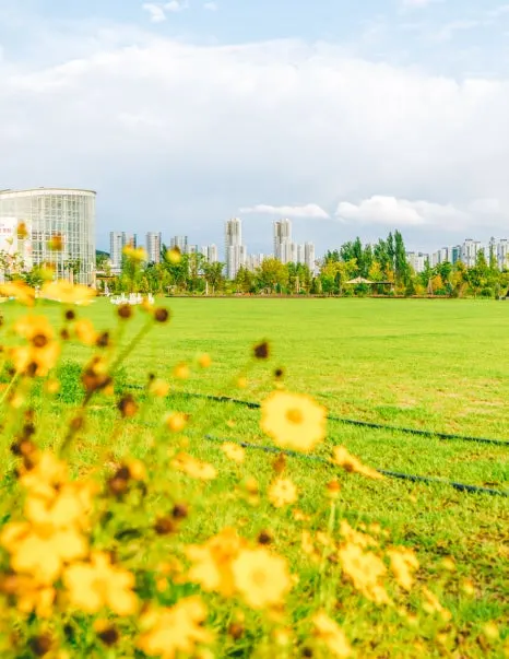 %EB%8F%84%EB%B9%84%EB%9D%BC_-1.jpg?type=w466