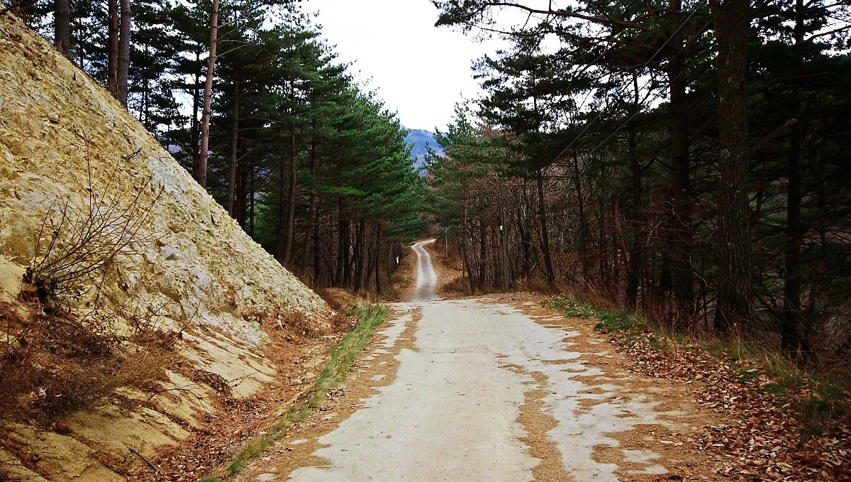 %EC%9D%B8%EC%A0%9C_%EC%9B%90%EB%8C%80%EB%A6%AC_%EC%9E%90%EC%9E%91%EB%82%98%EB%AC%B4%EC%88%B2%EC%9D%80_%EC%99%95%EB%B3%B5_6.4km_%EC%A0%95%EB%8F%84_%EB%90%9C%EB%8B%A4.JPG?type=w1200