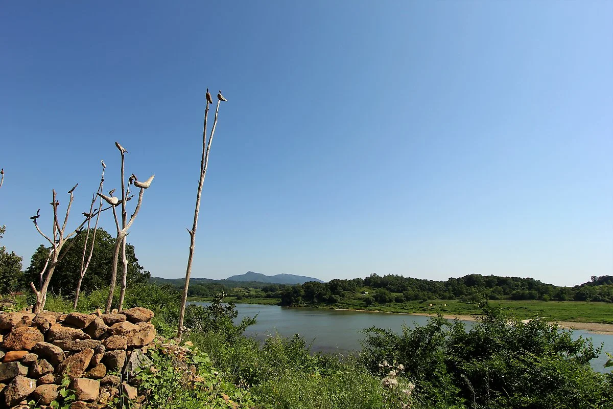 02%ED%98%B8%EB%A1%9C%EA%B3%A0%EB%A3%A8%EC%84%B1_%285%29.JPG?type=w1200