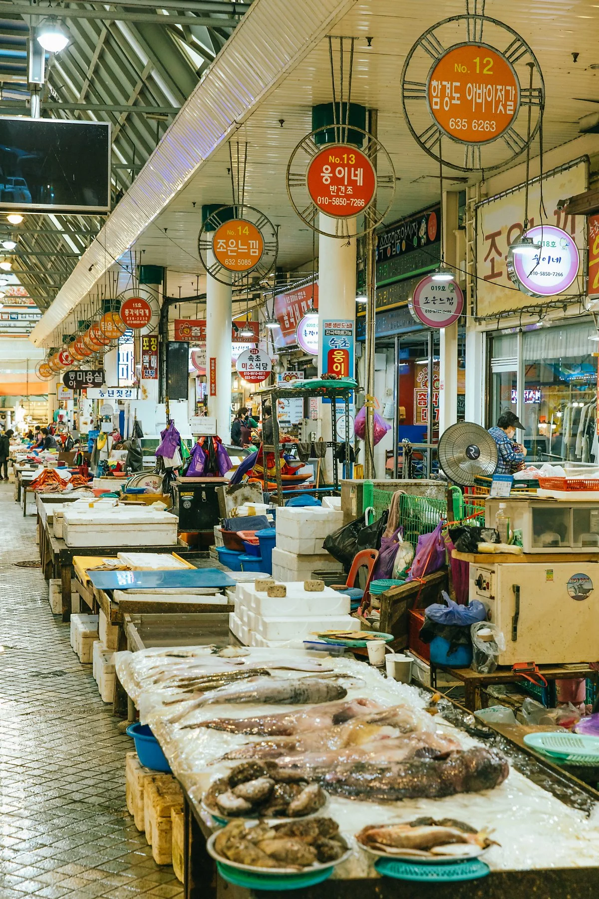 20_%EB%B3%BC%EA%B1%B0%EB%A6%AC%2C_%EB%A8%B9%EA%B1%B0%EB%A6%AC_%EA%B0%80%EB%93%9D%ED%95%9C_%EC%86%8D%EC%B4%88%EC%A4%91%EC%95%99%EC%8B%9C%EC%9E%A5.jpg?type=w1200