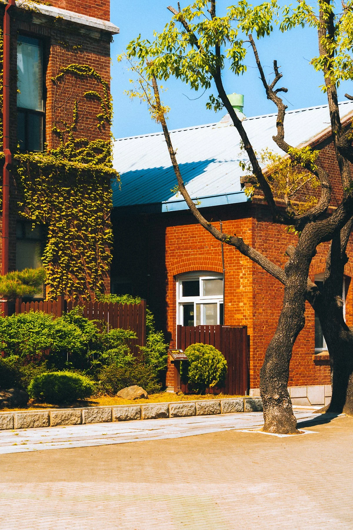 %EA%B3%84%EC%84%B1%EC%A4%91%ED%95%99%EA%B5%90_%285%29.jpg?type=w1200