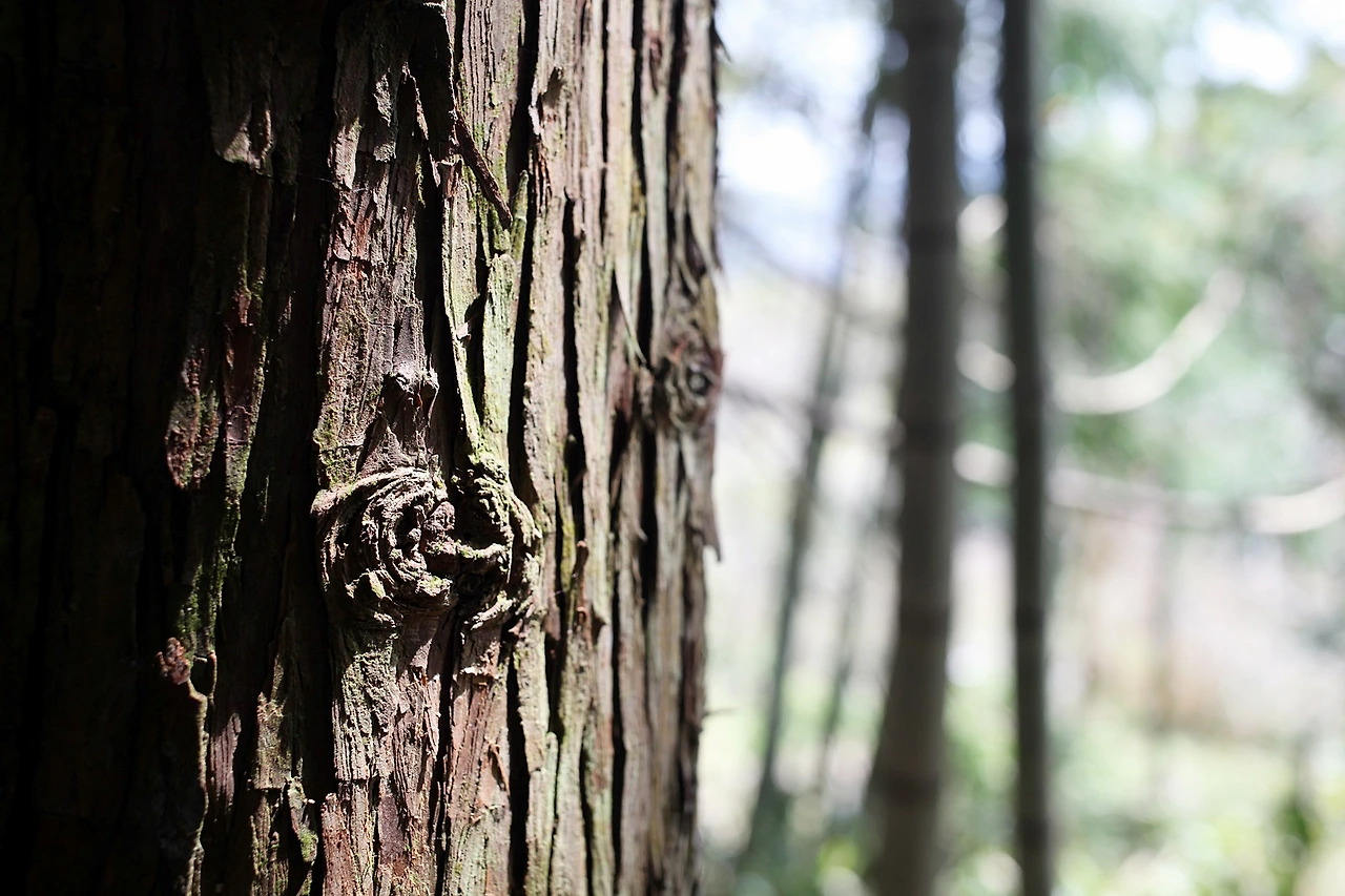 5 지쿠오가와라코스 (5).JPG