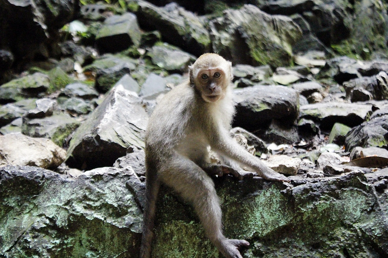 보타닉가든 (5).JPG