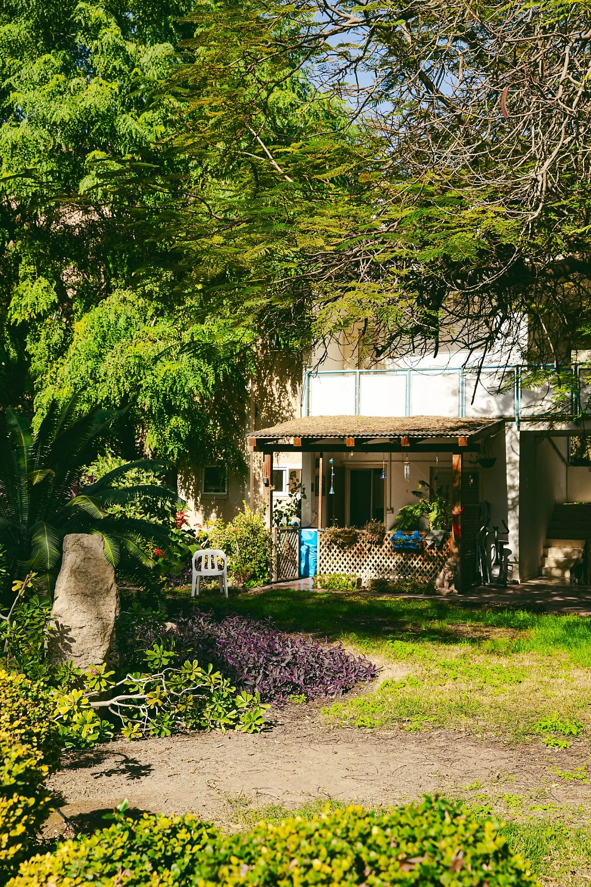 %EC%9D%B4%EC%8A%A4%EB%9D%BC%EC%97%98_Ein_Gedi_Botanical_Garden_3.jpg?type=w1200