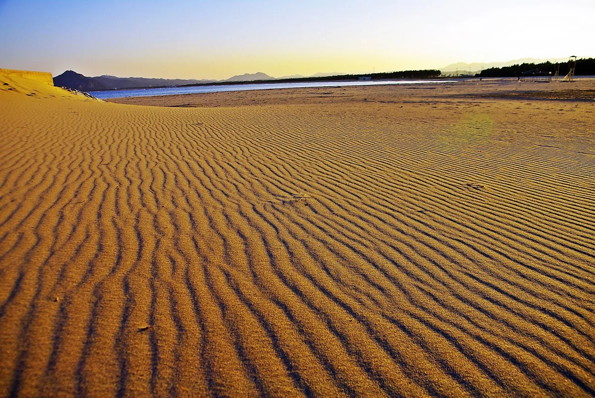 %EA%B4%B4%EC%8B%9C%EB%A7%88%EC%9D%84%EC%97%90%EC%84%9C_%EC%8B%9C%EC%9E%91%ED%95%9C_%EC%97%AC%ED%96%89%EC%9D%84_%EA%B3%A0%EB%9E%98%EB%B6%88%ED%95%B4%EB%B3%80%EC%97%90%EC%84%9C_%EB%81%9D%EB%82%B8%EB%8B%A4..JPG?type=w1200