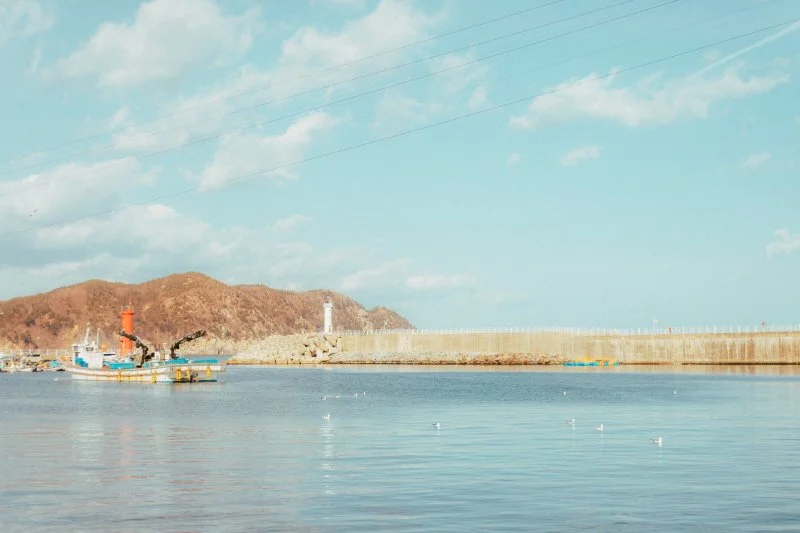 %EC%9E%A5%ED%98%B8%ED%95%AD_%289%29.jpg?type=w1200&type=w1200