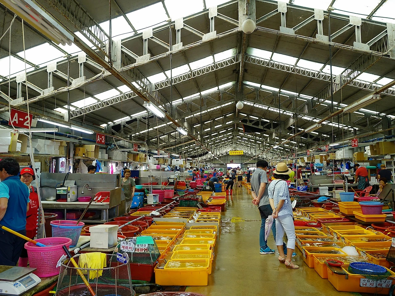 울산_정자항 (9).JPG