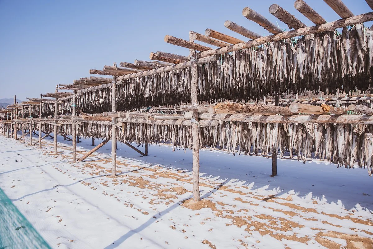 %EA%B0%95%EC%9B%90%EB%8F%84%EB%AF%B8%EC%8B%9D.jpg?type=w1200