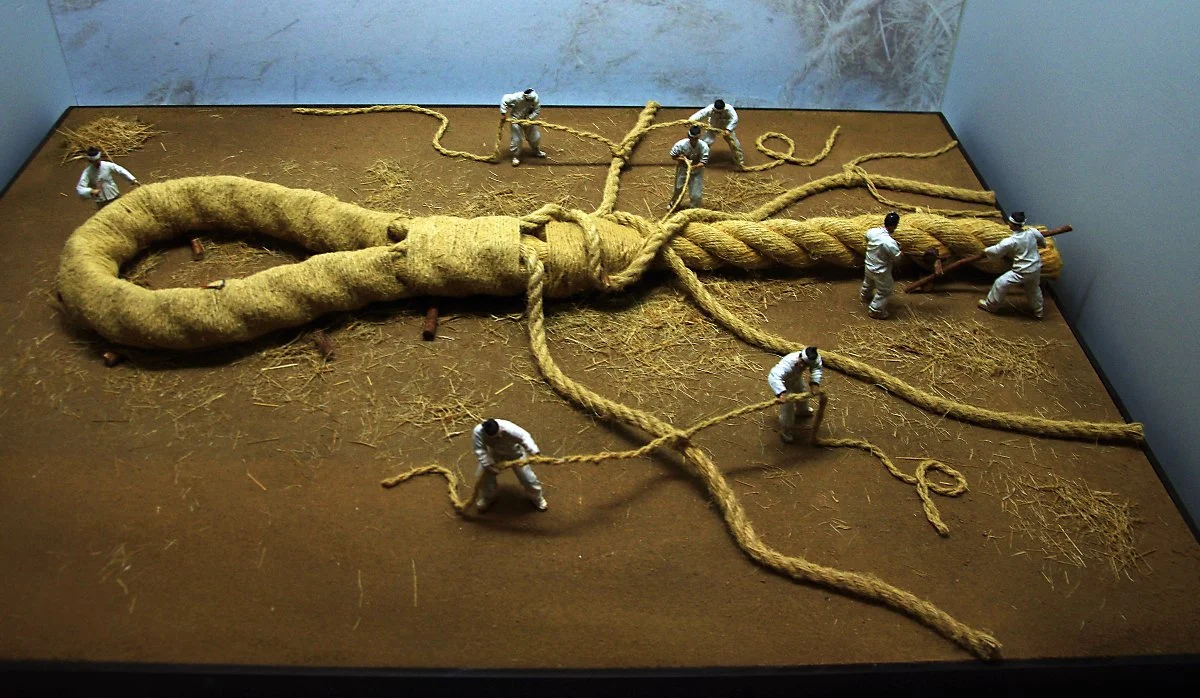 %EA%B3%81%EC%A4%84_%EB%B0%8F_%EC%A0%96%EC%A4%84_%EB%8B%AC%EA%B8%B0.JPG?type=w1200