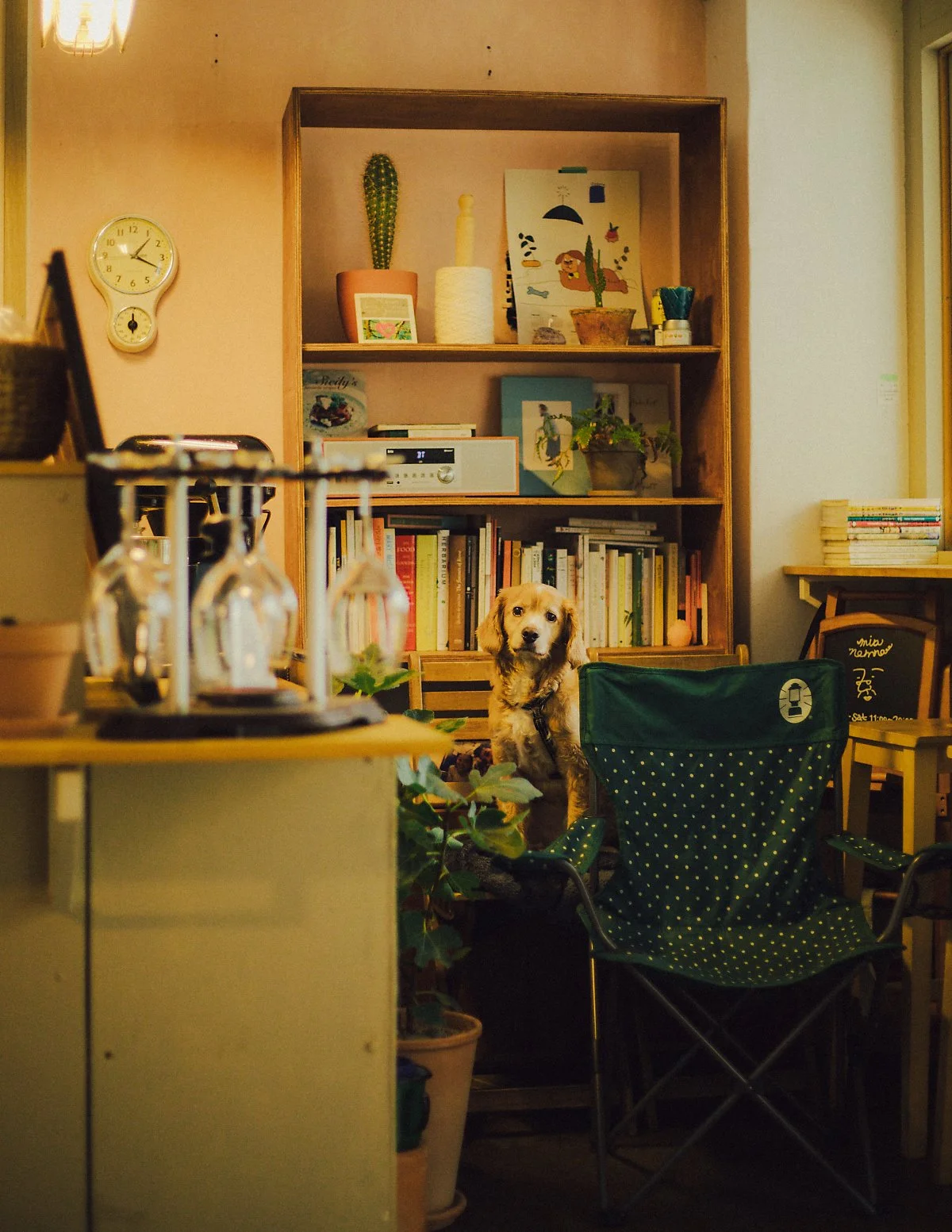 %EB%AF%B8%EC%95%84%EB%85%BC%EB%82%98_%287%29.jpg?type=w1200