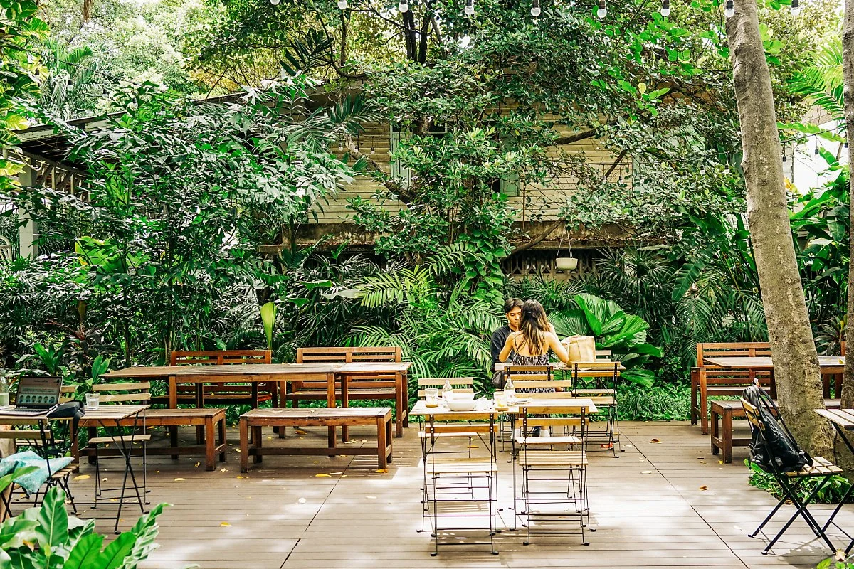 20220614-_%EC%95%84%EB%A6%AC%EC%9D%98_%EC%B9%B4%ED%8E%98_%EC%97%B4%EB%8C%80%EC%9A%B0%EB%A6%BC_%EC%86%8D%EC%97%90_%EC%9E%88%EB%8A%94_%EB%93%AF%ED%95%9C_%EA%B8%B0%EB%B6%84._%EC%98%90%EB%A1%9C%EB%A0%88%EC%9D%B8%EC%B9%B4%ED%8E%98.jpg?type=w1200