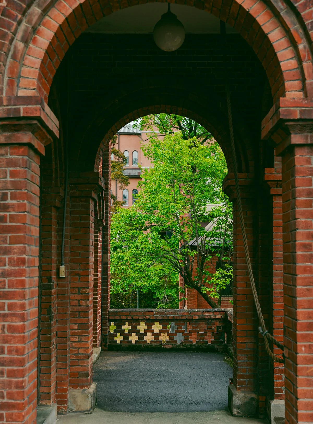 _86A6200.jpg?type=w1200