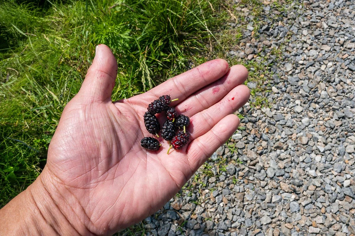 %EA%B9%80%EC%A0%9C%EB%B2%BD%EA%B3%A8%EC%A0%9C%EC%83%9D%ED%83%9C%EB%86%8D%EA%B2%BD%EC%9B%90_%2819%29.jpg?type=w1200