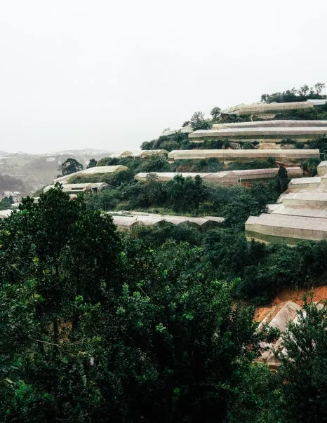 %EC%86%90_%ED%8C%8C%EC%B9%B4%EB%A7%88%EB%9D%BC_%EC%BB%A4%ED%94%BC_%ED%8C%9C_(8).jpg?type=w466