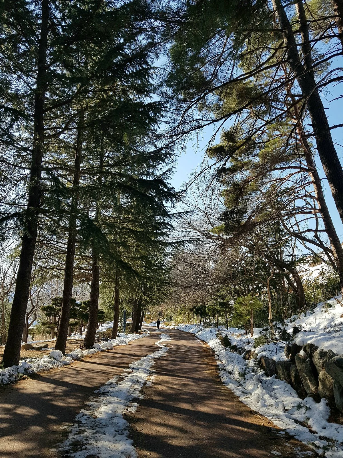 %EC%98%81%EB%9E%91%ED%98%B8%EC%82%B0%EC%B1%85%EA%B8%B8.jpg?type=w1200