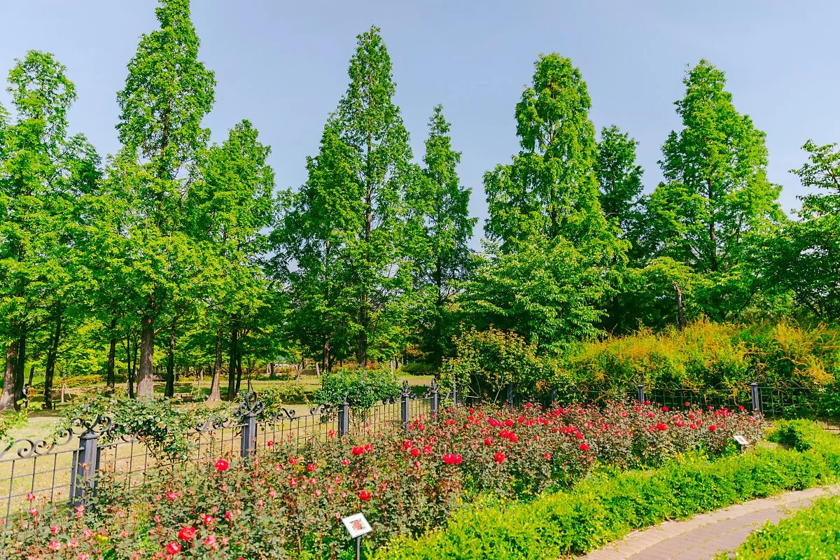 d_%ED%95%9C%EB%B0%AD%EC%88%98%EB%AA%A9%EC%9B%90_2.jpg?type=w1200