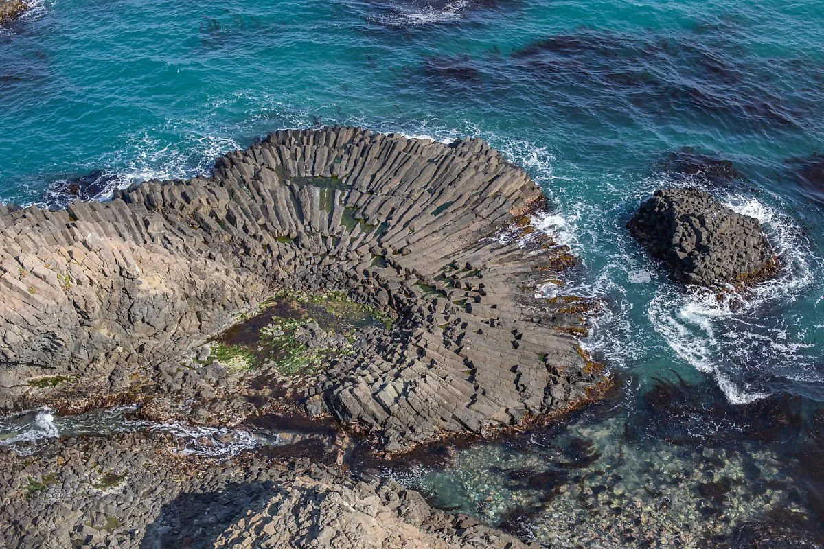 d_%EA%B2%BD%EC%A3%BC_%EB%B6%80%EC%B1%84%EA%BC%B4_%EC%A3%BC%EC%83%81%EC%A0%88%EB%A6%AC.jpg?type=w1200