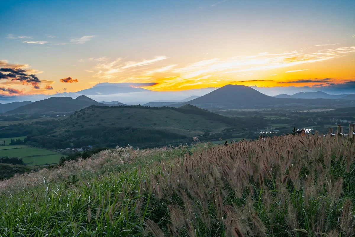 %EC%9A%A9%EB%88%88%EC%9D%B4%EC%98%A4%EB%A6%84_%EB%85%B8%EC%9D%84_%287%29.jpg?type=w1200