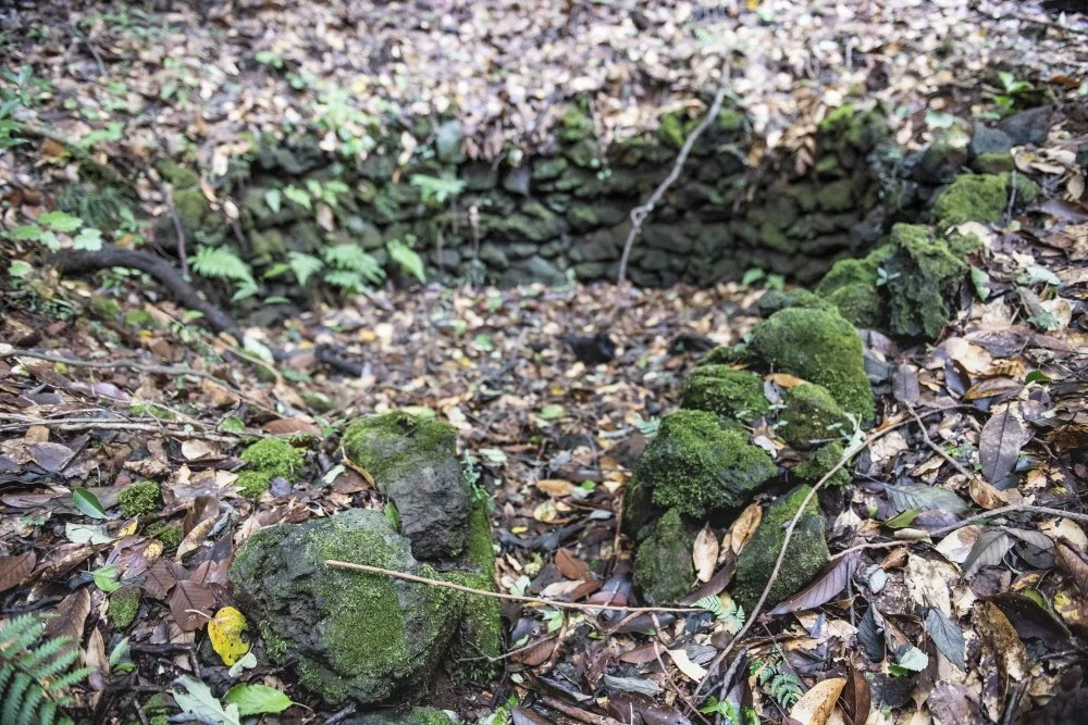 %ED%81%AC%EA%B8%B0%EB%B3%80%ED%99%98%EC%9D%B4%EC%8A%B9%EC%9D%B4%EC%98%A4%EB%A6%84_%286%29.jpg?type=w1200