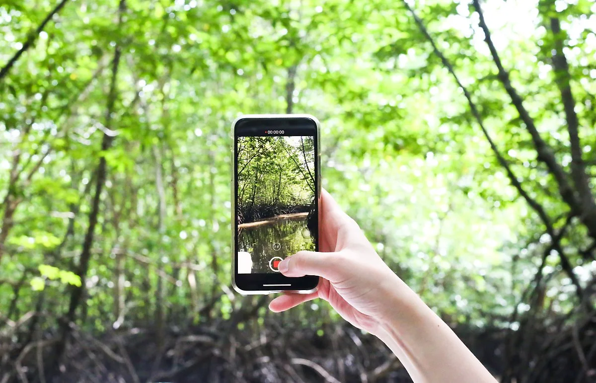 %EB%9E%91%EC%B9%B4%EC%9C%84_9_%28%EB%A7%B9%EA%B7%B8%EB%A1%9C%EB%B8%8C_%EC%88%B2%29.jpg?type=w1200