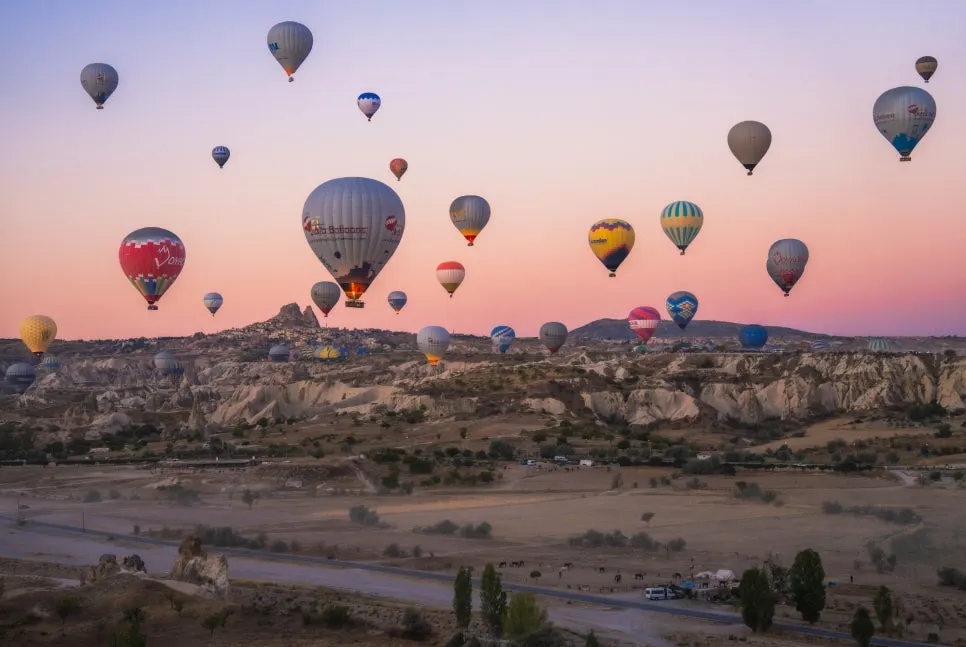 %EB%B2%8C%EB%A3%AC_%EC%84%A0%EB%9D%BC%EC%9D%B4%EC%A6%88_(14).jpg?type=w966