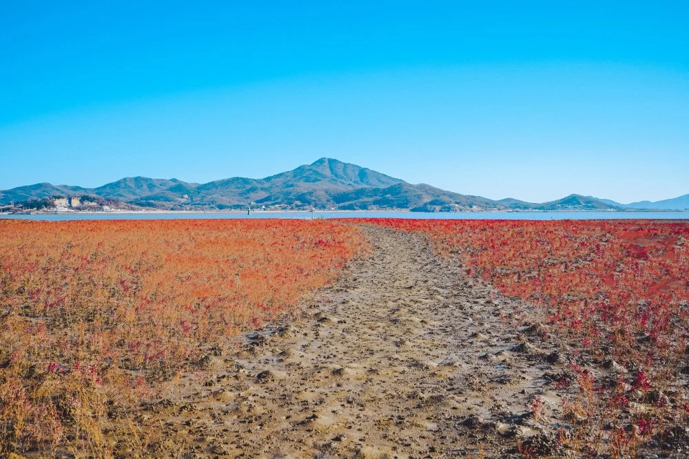 %EC%B9%A0%EB%A9%B4%EC%B4%88%EA%B5%B0%EB%9D%BD%EC%A7%80_%285%29.jpg?type=w1200