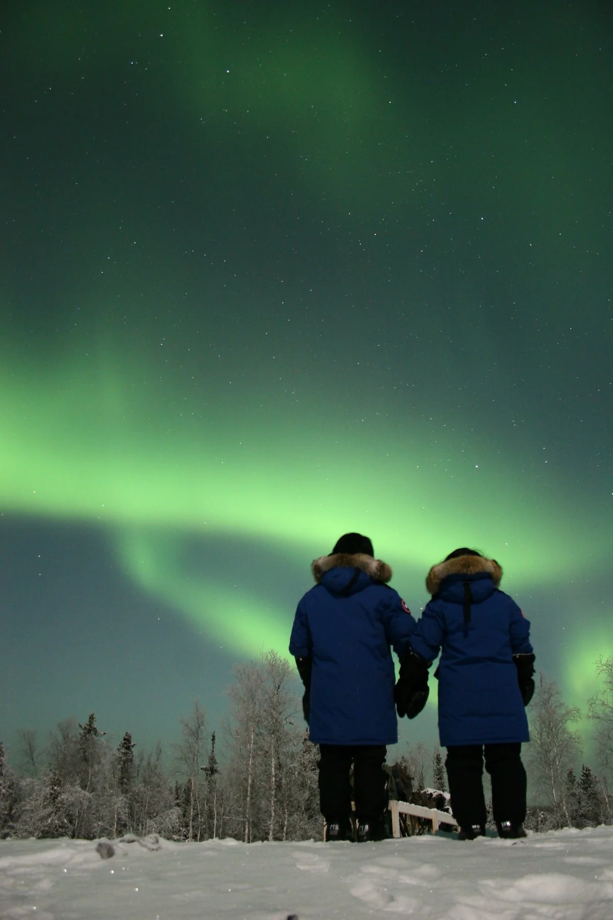 %EC%98%A4%EB%A1%9C%EB%9D%BC_%ED%97%8C%ED%8C%85.JPG?type=w1200