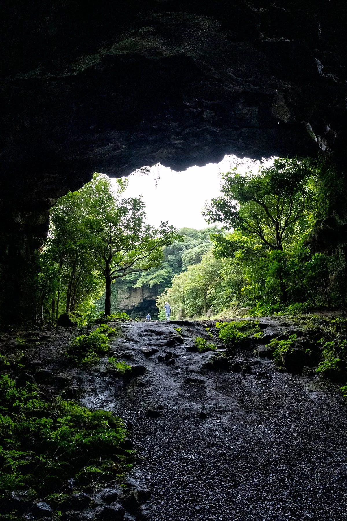 %EB%85%B9%EC%B0%A8%EB%8F%99%EA%B5%B4_%281%29.jpg?type=w1200